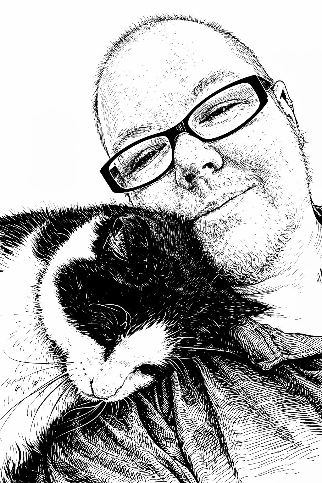 pet dog cat nature soft